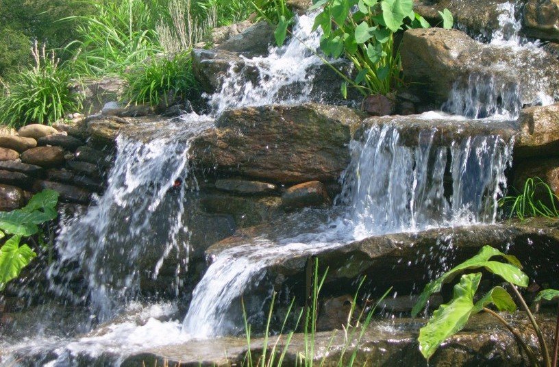 EH 35. La Fuente de la Eterna Juventud EH 35. La Fuente de la Eterna Juventud