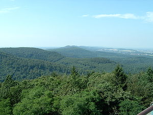 El espeso bosque de Teotoburgo visto desde las alturas
