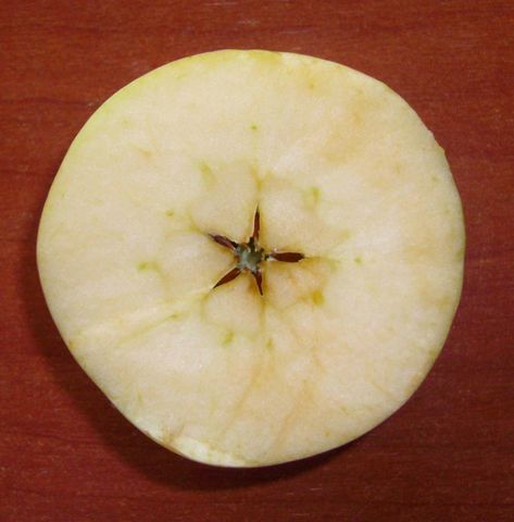 4º pentagrama en manzana